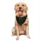 Black Cleveland Browns Brenden Bates   Service Dog & Cat Pet Bandana