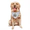 White Cleveland Browns Brenden Bates   Dog & Cat Pet Bandana